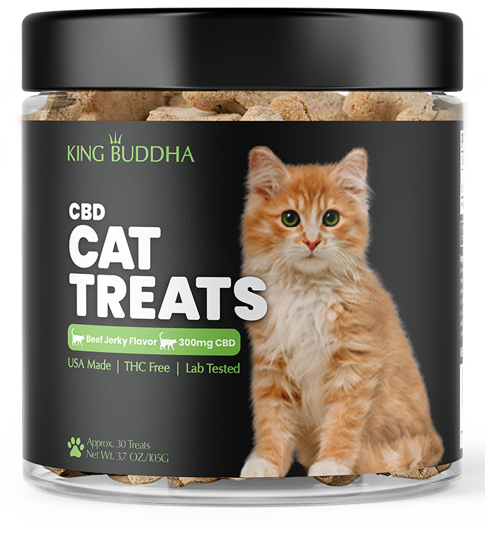 Cat cbd best sale treats