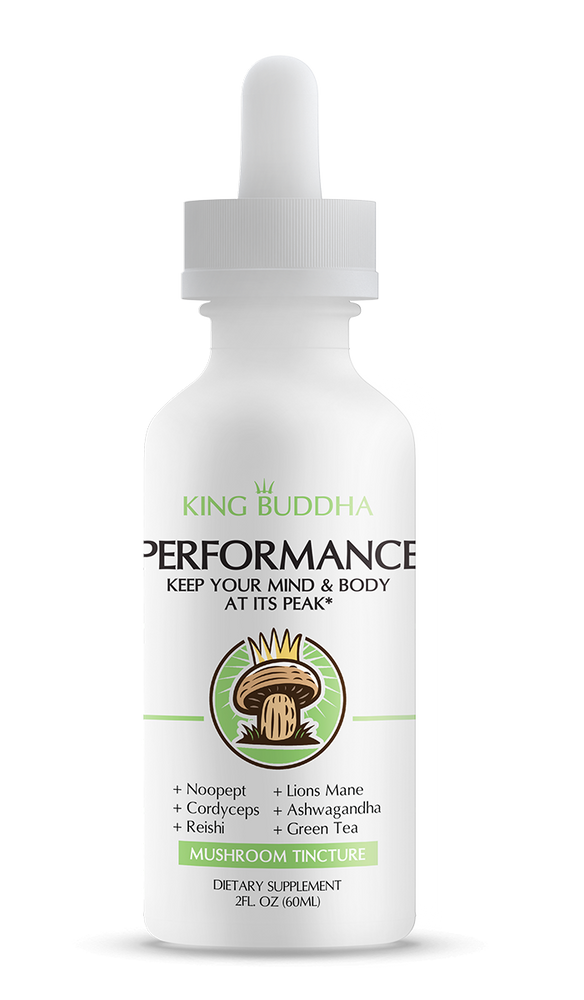 Mushroom Performance Tincture - Juice Journey