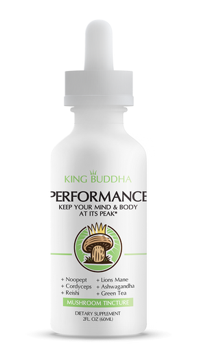 Mushroom Performance Tincture - Juice Journey