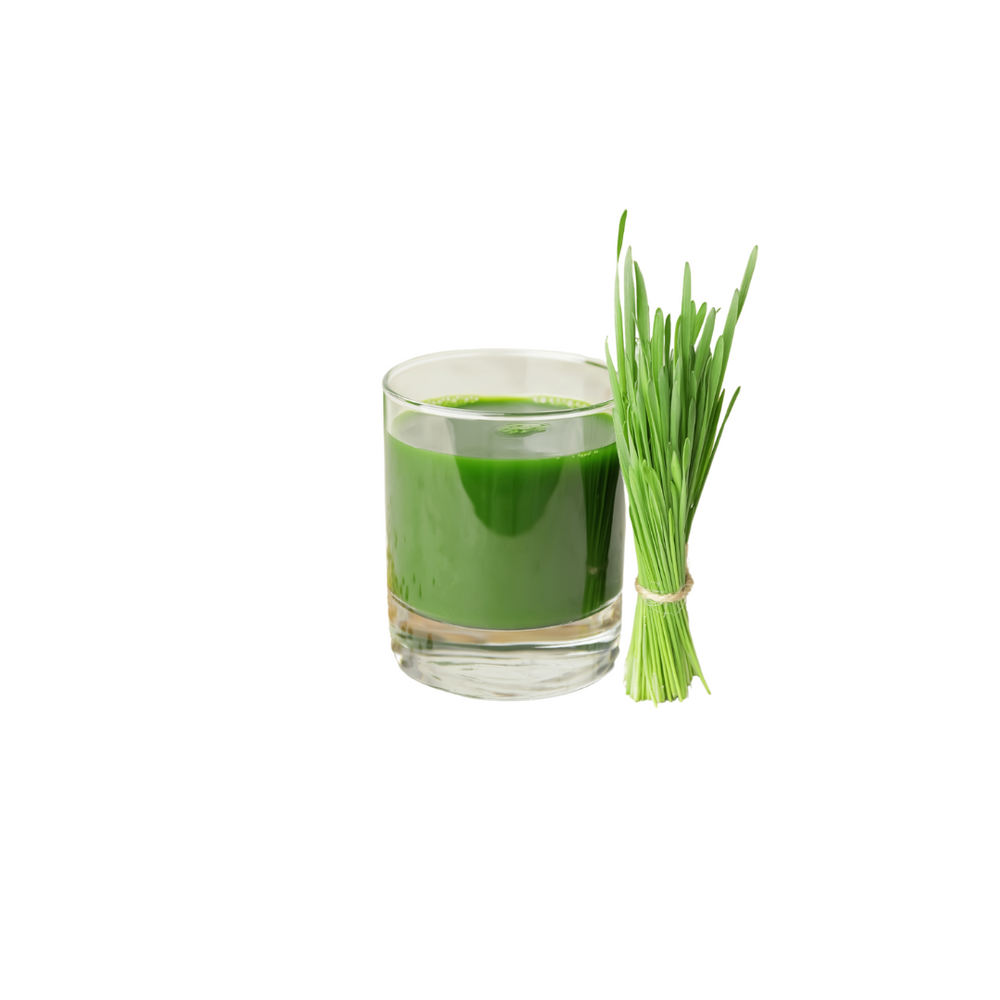 
            
                Load image into Gallery viewer, Wheatgrass - Juice Journey
            
        