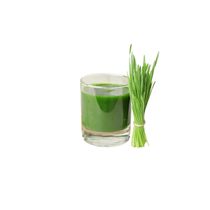 Wheatgrass - Juice Journey